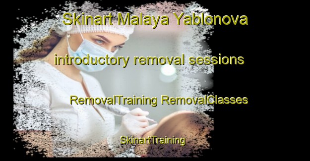 Skinart Malaya Yablonova introductory removal sessions | #RemovalTraining #RemovalClasses #SkinartTraining-Russia