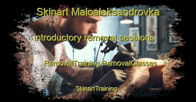 Skinart Maloaleksandrovka introductory removal sessions | #RemovalTraining #RemovalClasses #SkinartTraining-Russia