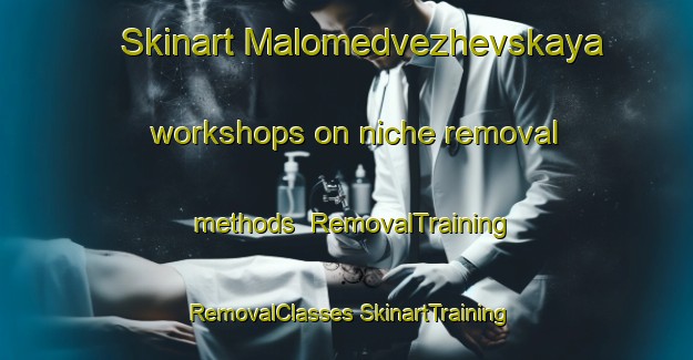 Skinart Malomedvezhevskaya workshops on niche removal methods | #RemovalTraining #RemovalClasses #SkinartTraining-Russia