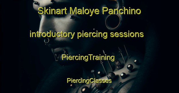 Skinart Maloye Panchino introductory piercing sessions | #PiercingTraining #PiercingClasses #SkinartTraining-Russia