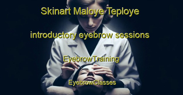 Skinart Maloye Teploye introductory eyebrow sessions | EyebrowTraining | EyebrowClasses | SkinartTraining-Russia