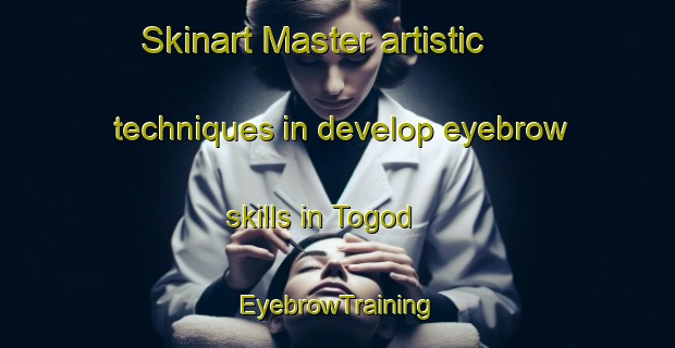 Skinart Master artistic techniques in develop eyebrow skills in Togod | EyebrowTraining | EyebrowClasses | SkinartTraining-Russia