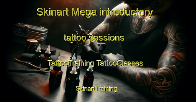 Skinart Mega introductory tattoo sessions | #TattooTraining #TattooClasses #SkinartTraining-Russia