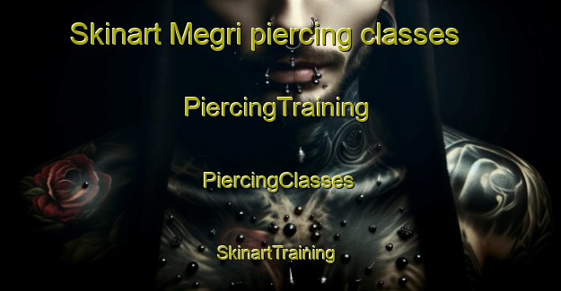 Skinart Megri piercing classes | #PiercingTraining #PiercingClasses #SkinartTraining-Russia