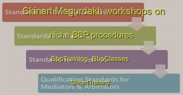 Skinart Megurdakh workshops on niche BBP procedures | BbpTraining | BbpClasses | SkinartTraining-Russia