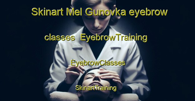 Skinart Mel Gunovka eyebrow classes | EyebrowTraining | EyebrowClasses | SkinartTraining-Russia