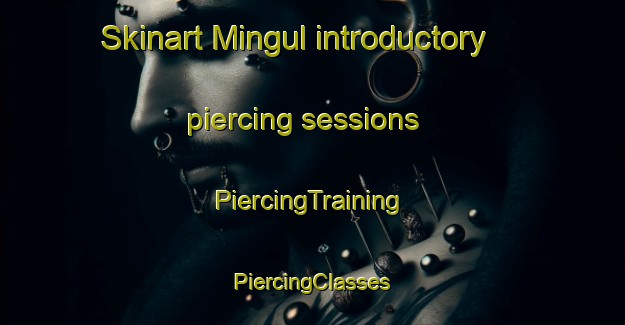 Skinart Mingul introductory piercing sessions | #PiercingTraining #PiercingClasses #SkinartTraining-Russia