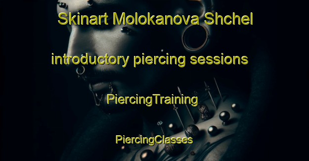 Skinart Molokanova Shchel introductory piercing sessions | #PiercingTraining #PiercingClasses #SkinartTraining-Russia