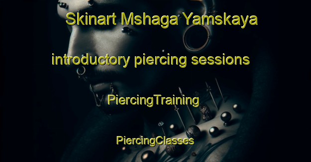 Skinart Mshaga Yamskaya introductory piercing sessions | #PiercingTraining #PiercingClasses #SkinartTraining-Russia