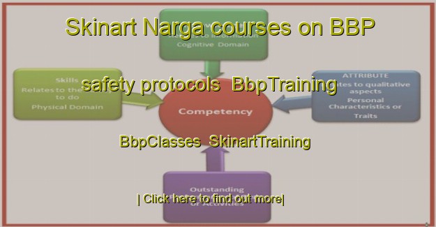 Skinart Narga courses on BBP safety protocols | BbpTraining | BbpClasses | SkinartTraining-Russia
