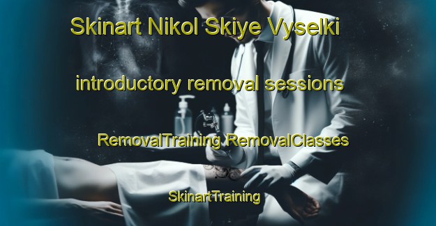 Skinart Nikol Skiye Vyselki introductory removal sessions | #RemovalTraining #RemovalClasses #SkinartTraining-Russia