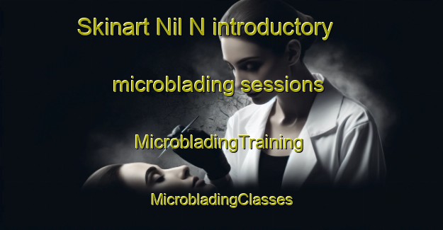 Skinart Nil N introductory microblading sessions | #MicrobladingTraining #MicrobladingClasses #SkinartTraining-Russia