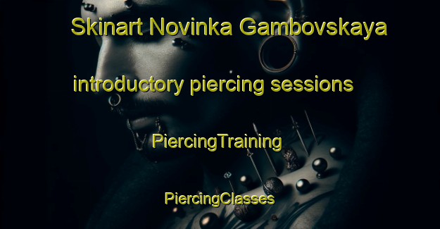 Skinart Novinka Gambovskaya introductory piercing sessions | #PiercingTraining #PiercingClasses #SkinartTraining-Russia