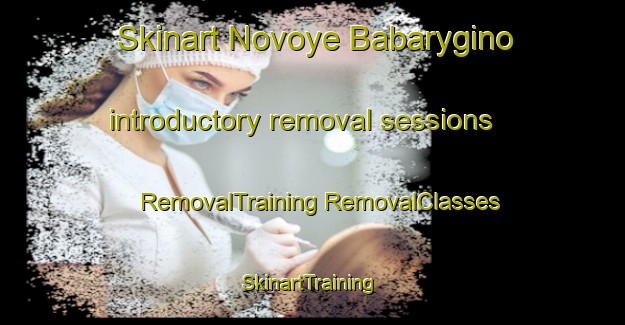 Skinart Novoye Babarygino introductory removal sessions | #RemovalTraining #RemovalClasses #SkinartTraining-Russia