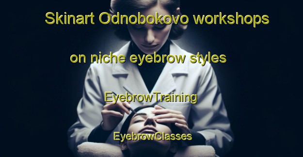 Skinart Odnobokovo workshops on niche eyebrow styles | EyebrowTraining | EyebrowClasses | SkinartTraining-Russia