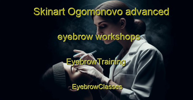 Skinart Ogomonovo advanced eyebrow workshops | EyebrowTraining | EyebrowClasses | SkinartTraining-Russia