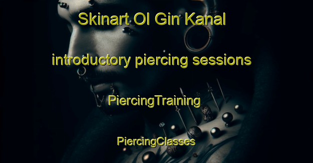 Skinart Ol Gin Kanal introductory piercing sessions | #PiercingTraining #PiercingClasses #SkinartTraining-Russia