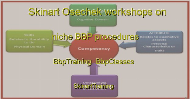 Skinart Osechek workshops on niche BBP procedures | BbpTraining | BbpClasses | SkinartTraining-Russia