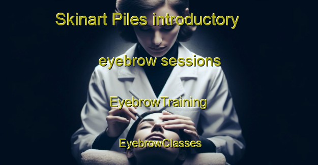 Skinart Piles introductory eyebrow sessions | EyebrowTraining | EyebrowClasses | SkinartTraining-Russia