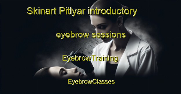 Skinart Pitlyar introductory eyebrow sessions | EyebrowTraining | EyebrowClasses | SkinartTraining-Russia