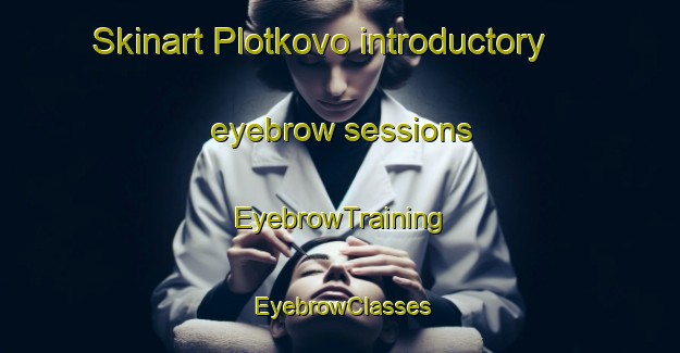 Skinart Plotkovo introductory eyebrow sessions | EyebrowTraining | EyebrowClasses | SkinartTraining-Russia