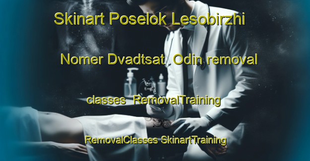 Skinart Poselok Lesobirzhi Nomer Dvadtsat  Odin removal classes | #RemovalTraining #RemovalClasses #SkinartTraining-Russia