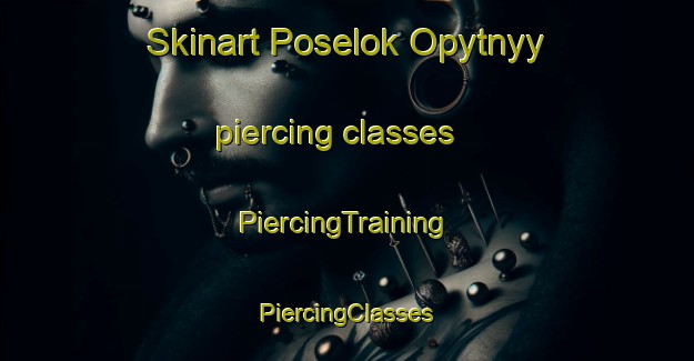 Skinart Poselok Opytnyy piercing classes | #PiercingTraining #PiercingClasses #SkinartTraining-Russia