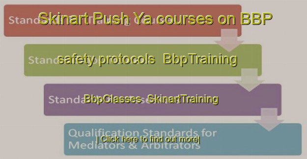 Skinart Push Ya courses on BBP safety protocols | BbpTraining | BbpClasses | SkinartTraining-Russia
