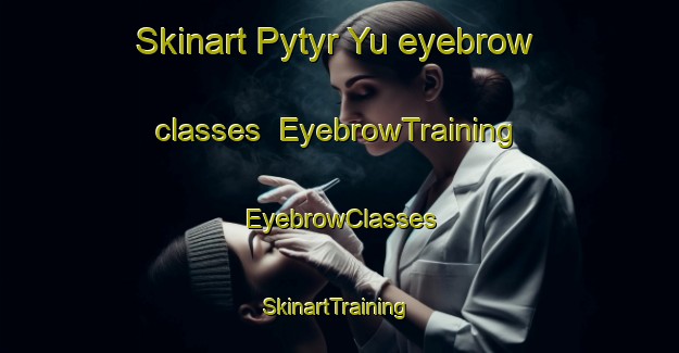 Skinart Pytyr Yu eyebrow classes | EyebrowTraining | EyebrowClasses | SkinartTraining-Russia