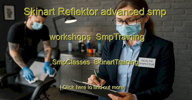 Skinart Reflektor advanced smp workshops | SmpTraining | SmpClasses | SkinartTraining-Russia