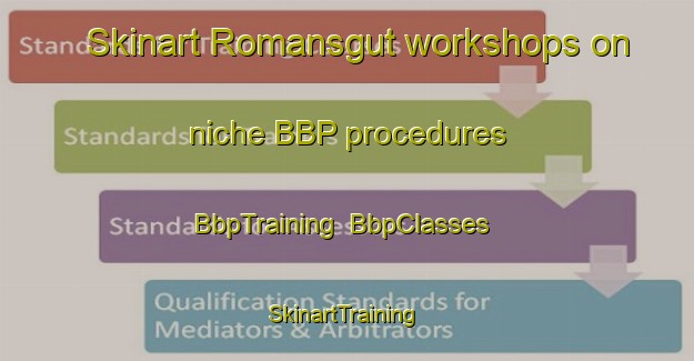 Skinart Romansgut workshops on niche BBP procedures | BbpTraining | BbpClasses | SkinartTraining-Russia