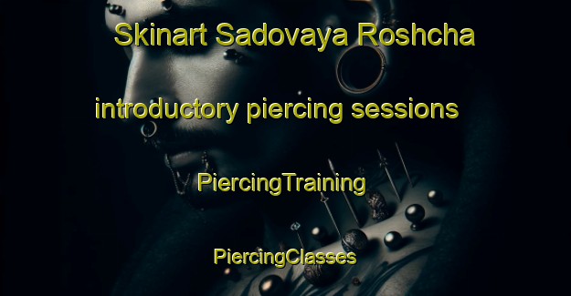 Skinart Sadovaya Roshcha introductory piercing sessions | #PiercingTraining #PiercingClasses #SkinartTraining-Russia