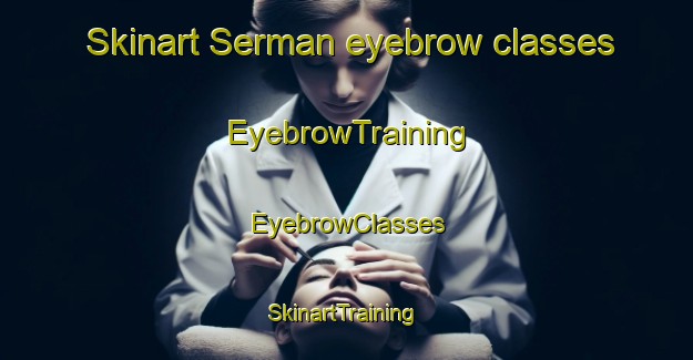Skinart Serman eyebrow classes | EyebrowTraining | EyebrowClasses | SkinartTraining-Russia