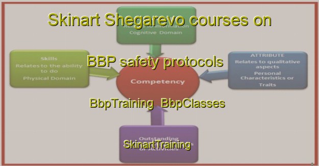 Skinart Shegarevo courses on BBP safety protocols | BbpTraining | BbpClasses | SkinartTraining-Russia
