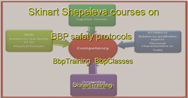 Skinart Shepeleva courses on BBP safety protocols | BbpTraining | BbpClasses | SkinartTraining-Russia