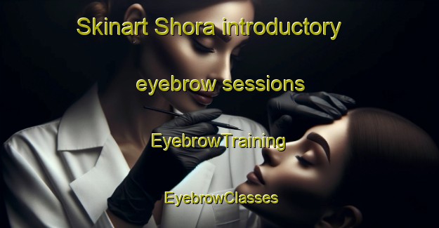 Skinart Shora introductory eyebrow sessions | EyebrowTraining | EyebrowClasses | SkinartTraining-Russia