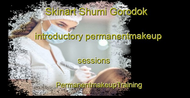 Skinart Shumi Gorodok introductory permanentmakeup sessions | #PermanentmakeupTraining #PermanentmakeupClasses #SkinartTraining-Russia