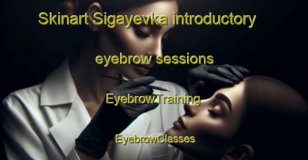 Skinart Sigayevka introductory eyebrow sessions | EyebrowTraining | EyebrowClasses | SkinartTraining-Russia