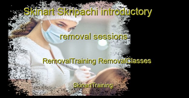 Skinart Skripachi introductory removal sessions | #RemovalTraining #RemovalClasses #SkinartTraining-Russia