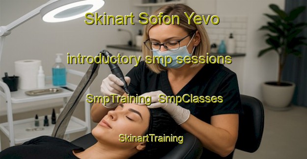 Skinart Sofon Yevo introductory smp sessions | SmpTraining | SmpClasses | SkinartTraining-Russia