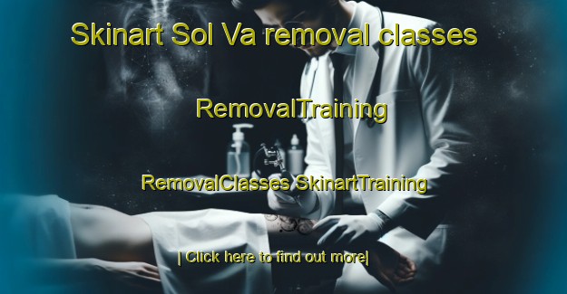 Skinart Sol Va removal classes | #RemovalTraining #RemovalClasses #SkinartTraining-Russia