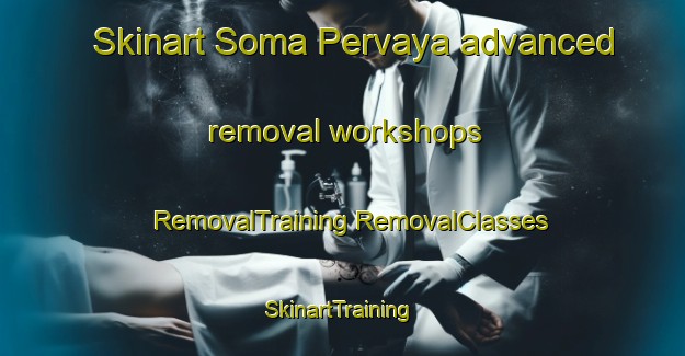 Skinart Soma Pervaya advanced removal workshops | #RemovalTraining #RemovalClasses #SkinartTraining-Russia