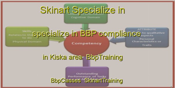 Skinart Specialize in specialize in BBP compliance in Kiska area | BbpTraining | BbpClasses | SkinartTraining-Russia