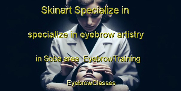 Skinart Specialize in specialize in eyebrow artistry in Soba area | EyebrowTraining | EyebrowClasses | SkinartTraining-Russia