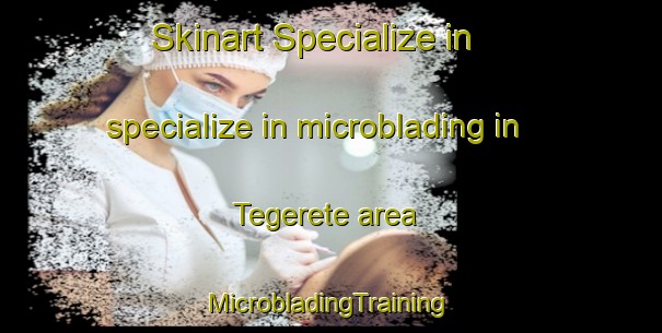 Skinart Specialize in specialize in microblading in Tegerete area | #MicrobladingTraining #MicrobladingClasses #SkinartTraining-Russia