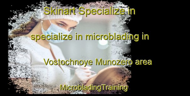 Skinart Specialize in specialize in microblading in Vostochnoye Munozero area | #MicrobladingTraining #MicrobladingClasses #SkinartTraining-Russia