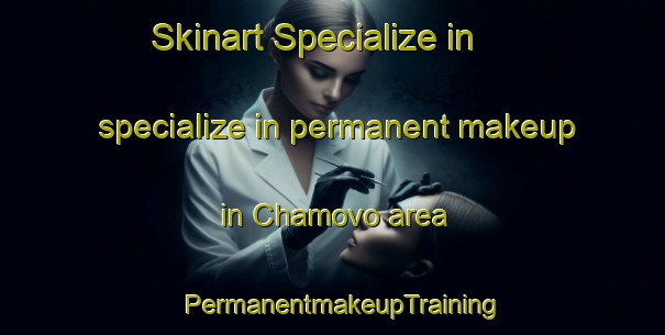 Skinart Specialize in specialize in permanent makeup in Chamovo area | PermanentmakeupTraining | PermanentmakeupClasses | SkinartTraining-Russia