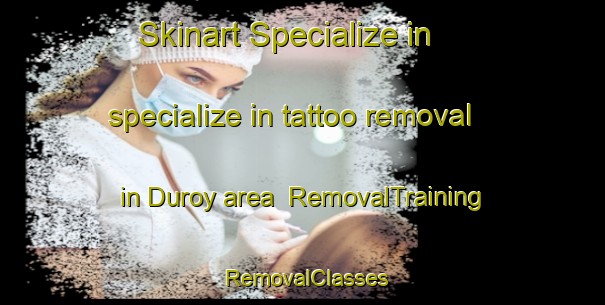 Skinart Specialize in specialize in tattoo removal in Duroy area | RemovalTraining | RemovalClasses | SkinartTraining-Russia