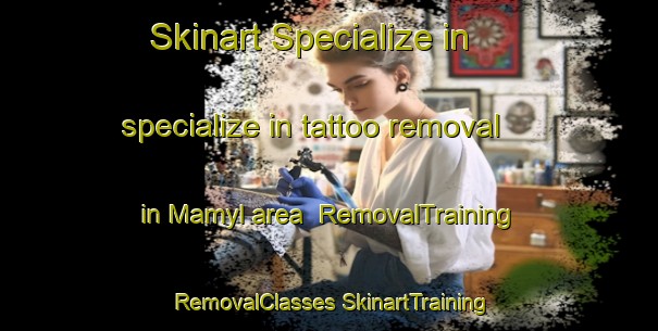 Skinart Specialize in specialize in tattoo removal in Mamyl area | #RemovalTraining #RemovalClasses #SkinartTraining-Russia