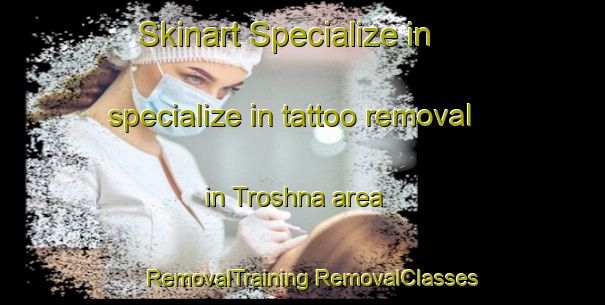 Skinart Specialize in specialize in tattoo removal in Troshna area | #RemovalTraining #RemovalClasses #SkinartTraining-Russia